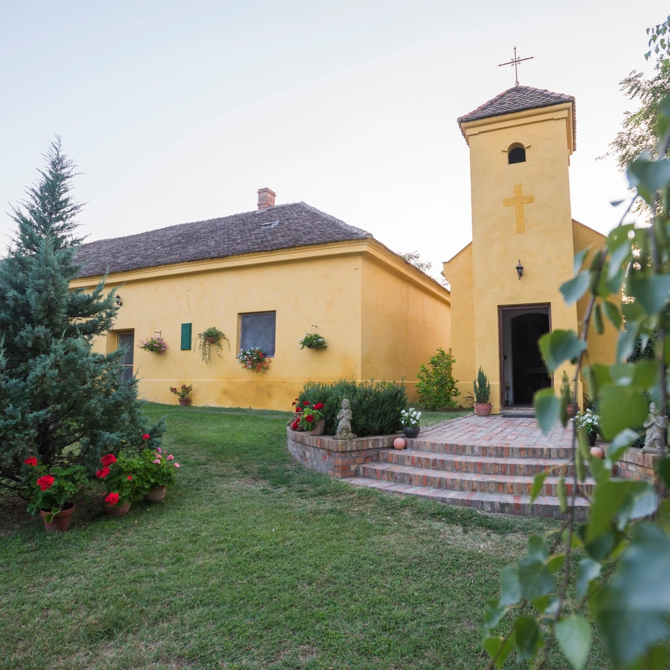 Sárgamajor - image description