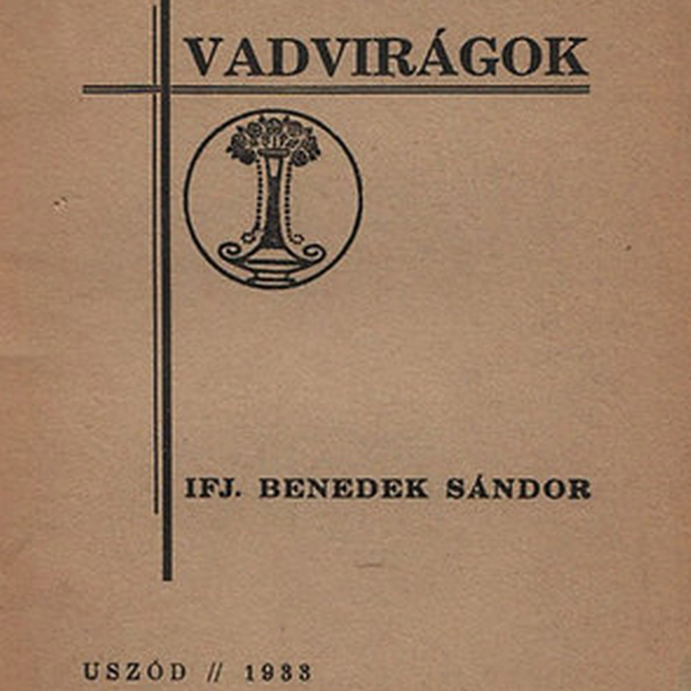 Benedek Sándor népi költő munkássága és versei - image description