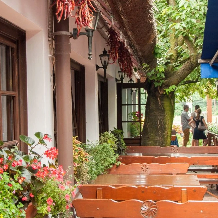 Tanyacsárda - image description