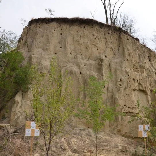 Katymári téglavető földtani képződmény természeti emlék - image description