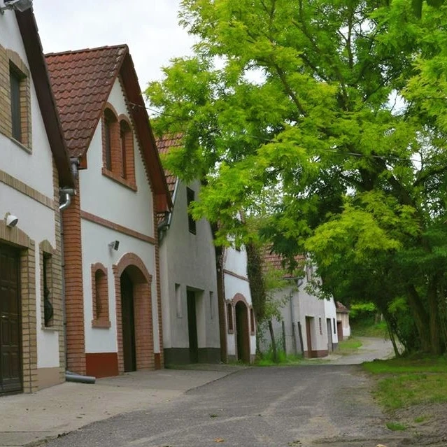 Császártöltési Pincesorok - image description