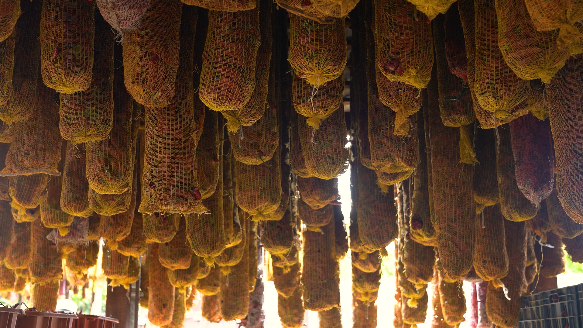 Fűszerpaprika Bácsalmásról